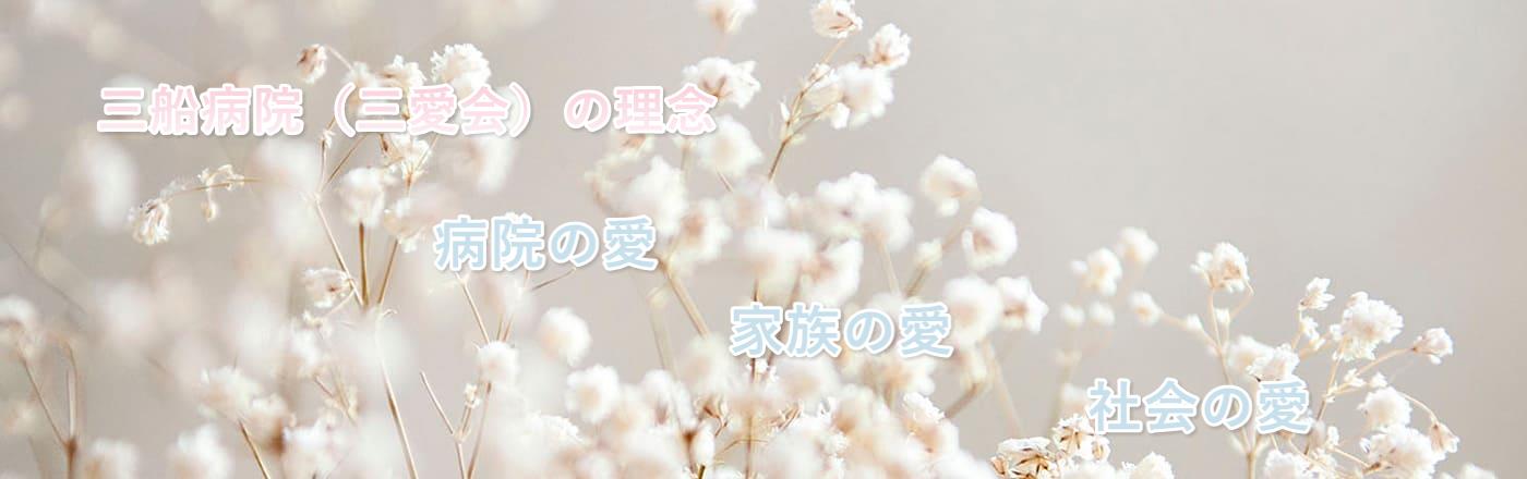 病院の概要