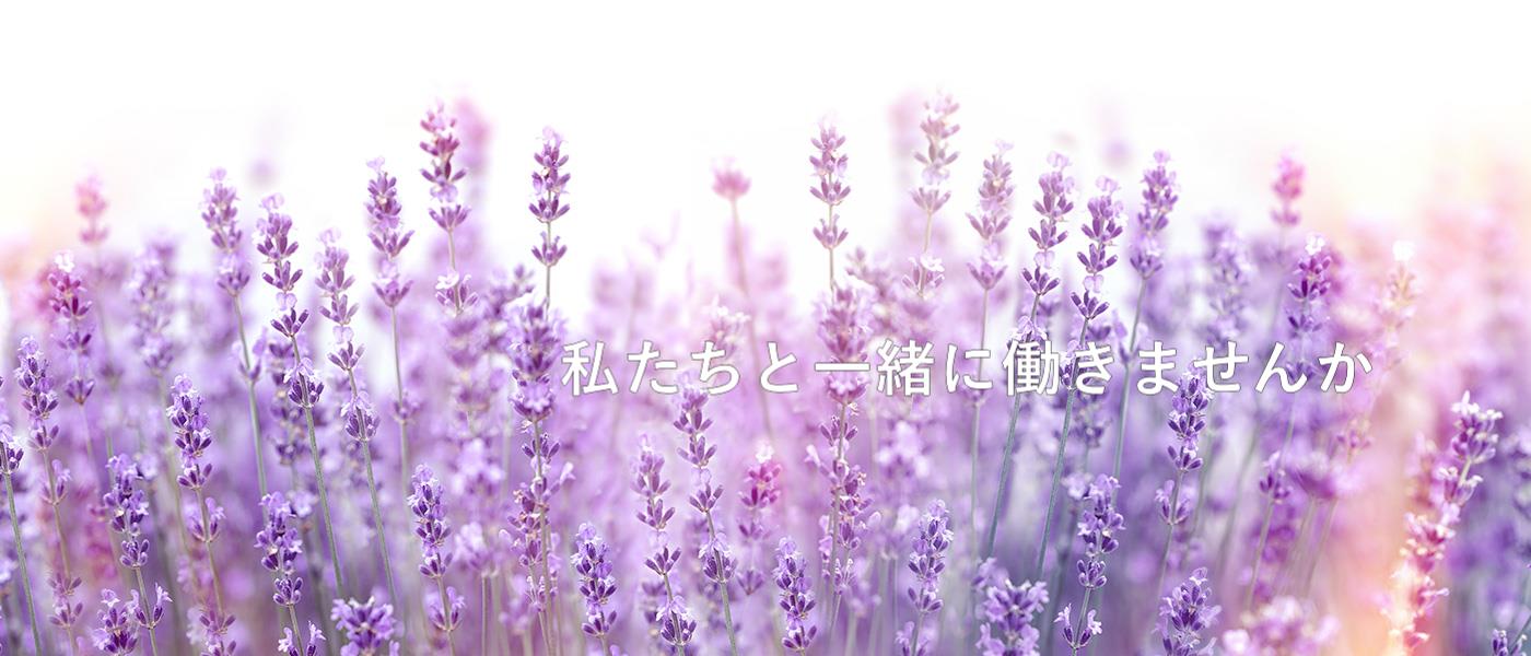 看護部採用情報